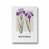 Floral Euphoria Botanical Modern Wall Art