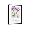 Floral Euphoria Botanical Modern Wall Art
