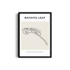 Banana Leaf Modern Line Wall Art