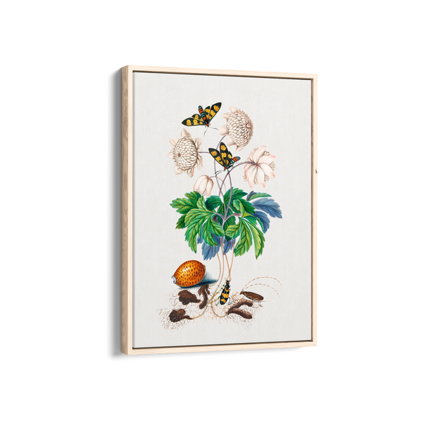 Chard Botanical Wall Art