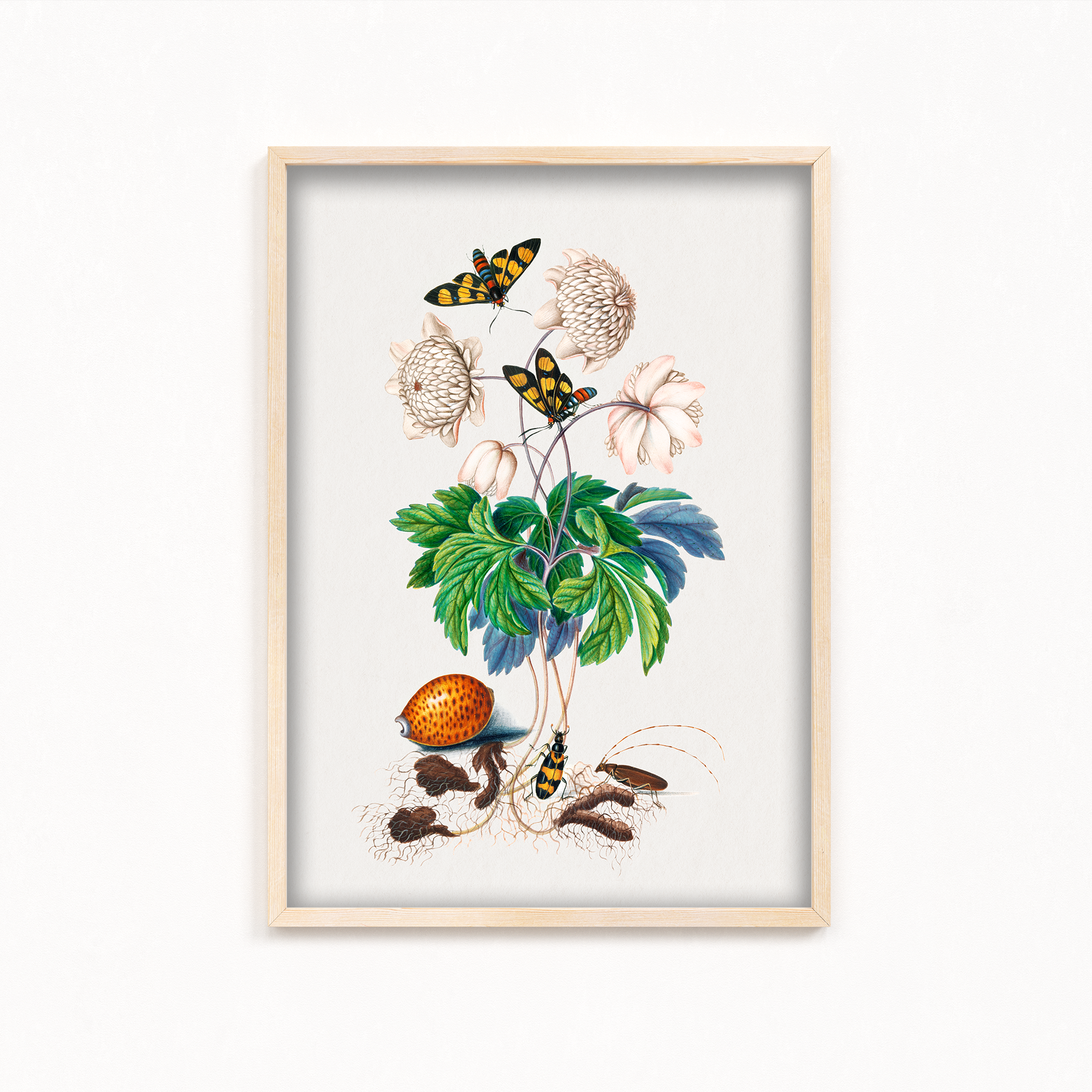 Chard Botanical Wall Art