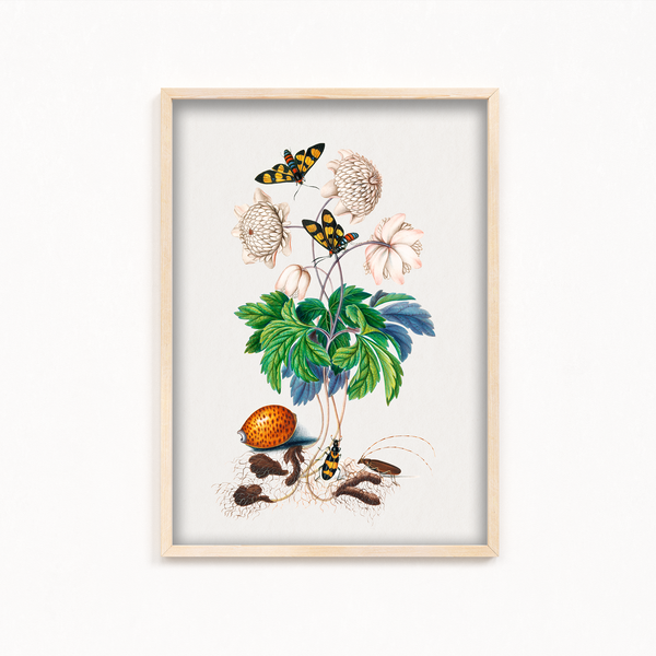 Chard Botanical Wall Art