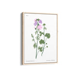 Amsterdam art gallery Botanical Modern Wall Art