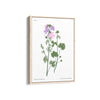 Amsterdam art gallery Botanical Modern Wall Art