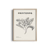 Ink Elegance Modern Line Wall Art