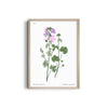 Amsterdam art gallery Botanical Modern Wall Art