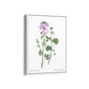 Amsterdam art gallery Botanical Modern Wall Art