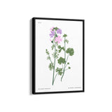 Amsterdam art gallery Botanical Modern Wall Art