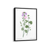 Amsterdam art gallery Botanical Modern Wall Art