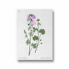 Amsterdam art gallery Botanical Modern Wall Art