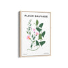 Wildflower Chronicles Botanical Modern Wall Art