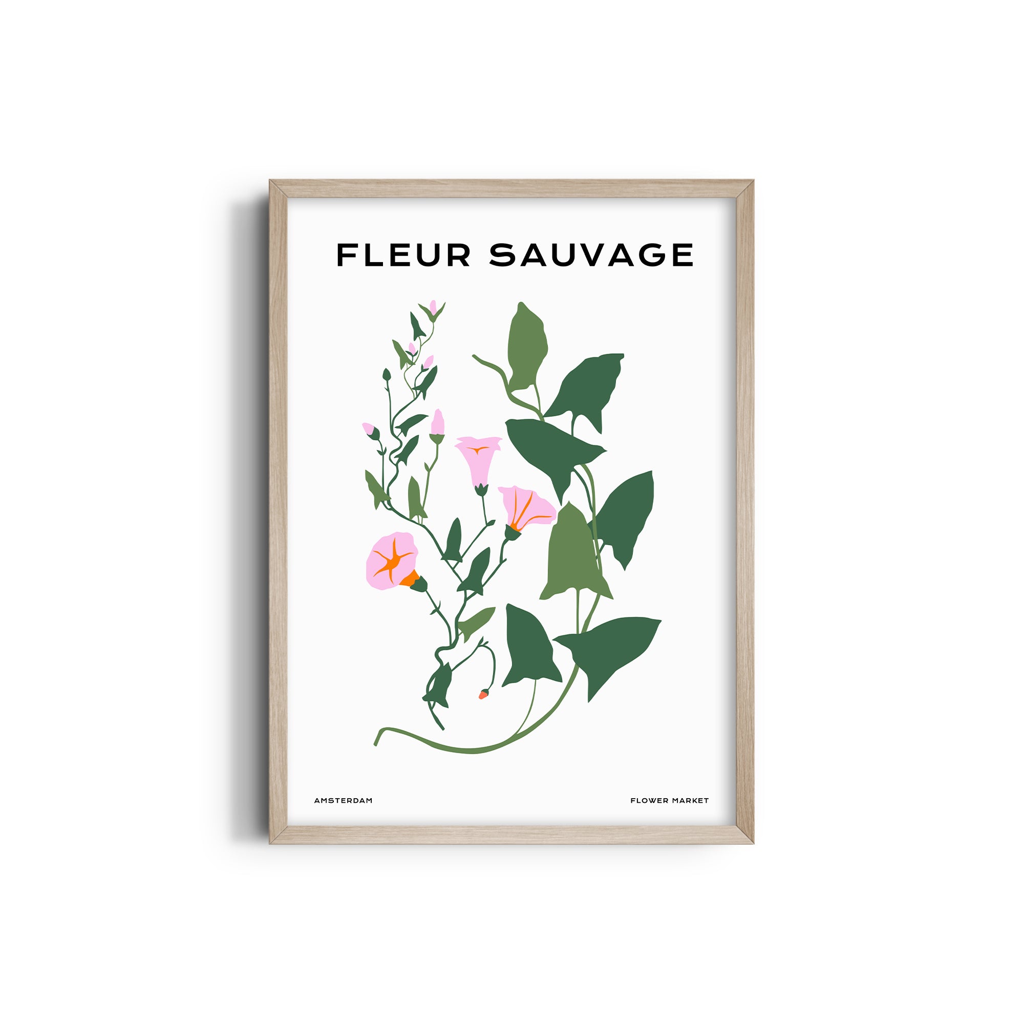 Wildflower Chronicles Botanical Modern Wall Art