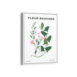 Wildflower Chronicles Botanical Modern Wall Art