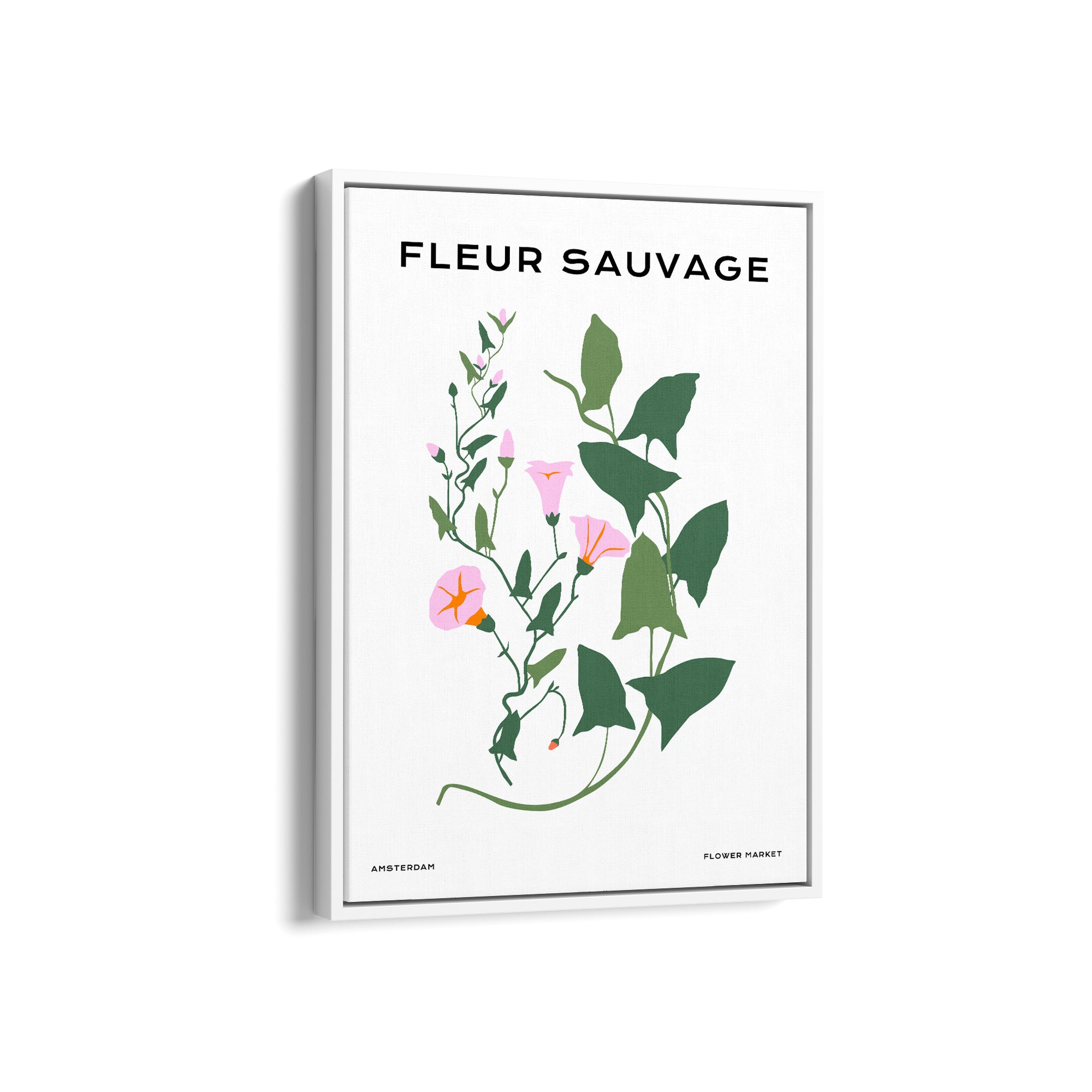 Wildflower Chronicles Botanical Modern Wall Art