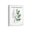 Wildflower Chronicles Botanical Modern Wall Art