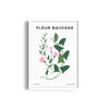 Wildflower Chronicles Botanical Modern Wall Art