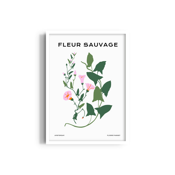 Wildflower Chronicles Botanical Modern Wall Art