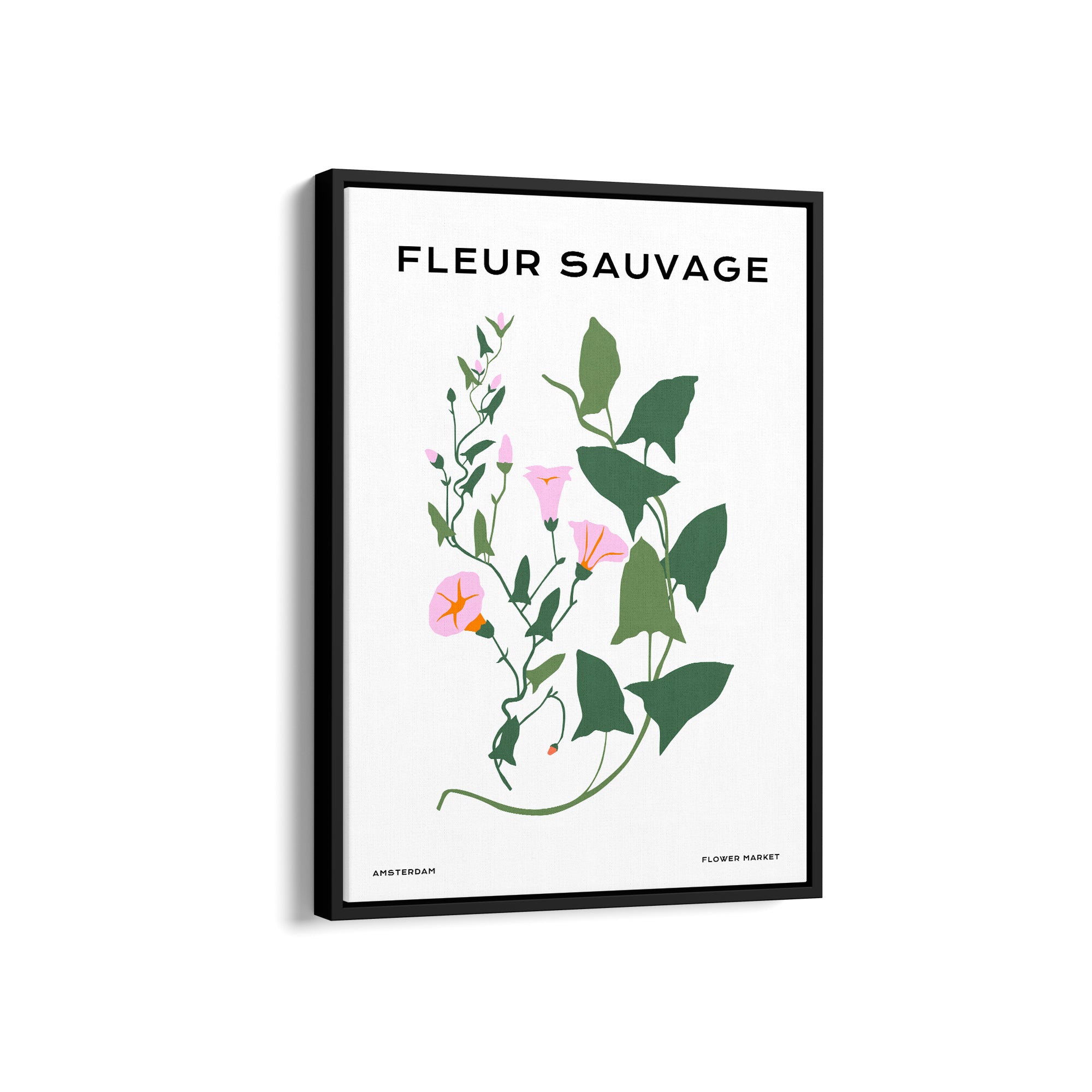 Wildflower Chronicles Botanical Modern Wall Art