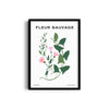Wildflower Chronicles Botanical Modern Wall Art