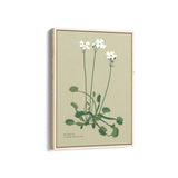 Fern Fables Botanical Modern Wall Art