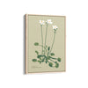 Fern Fables Botanical Modern Wall Art