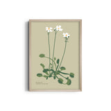 Fern Fables Botanical Modern Wall Art