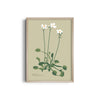 Fern Fables Botanical Modern Wall Art