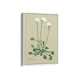 Fern Fables Botanical Modern Wall Art