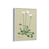 Fern Fables Botanical Modern Wall Art
