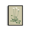 Fern Fables Botanical Modern Wall Art