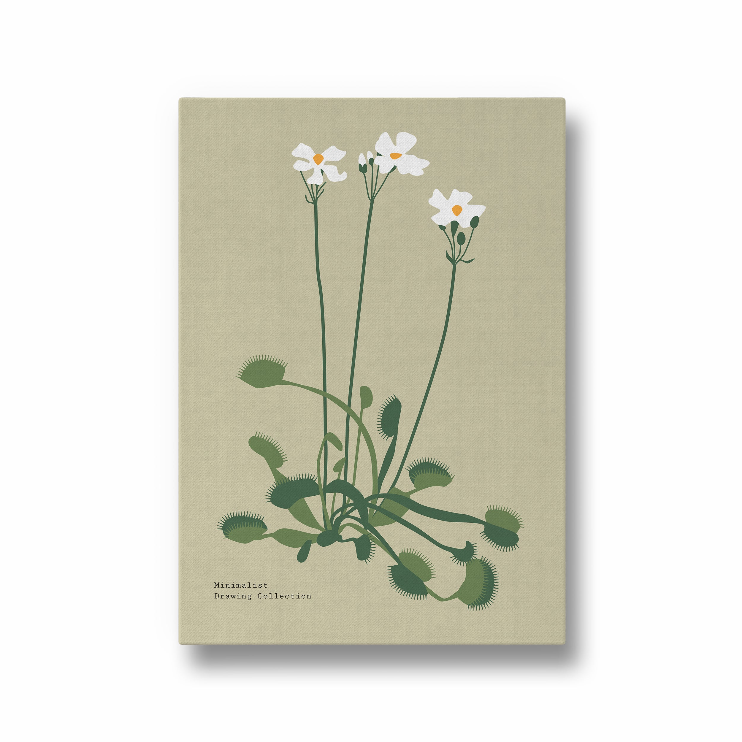 Fern Fables Botanical Modern Wall Art