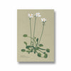 Fern Fables Botanical Modern Wall Art