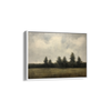 Azure Canopy Wall Art