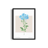 Verdant Vista Botanical Modern Wall Art