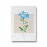 Verdant Vista Botanical Modern Wall Art