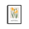 Daffodil Botanical Modern Wall Art