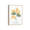 Blossom Reverie Botanical Modern Wall Art