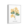 Blossom Reverie Botanical Modern Wall Art