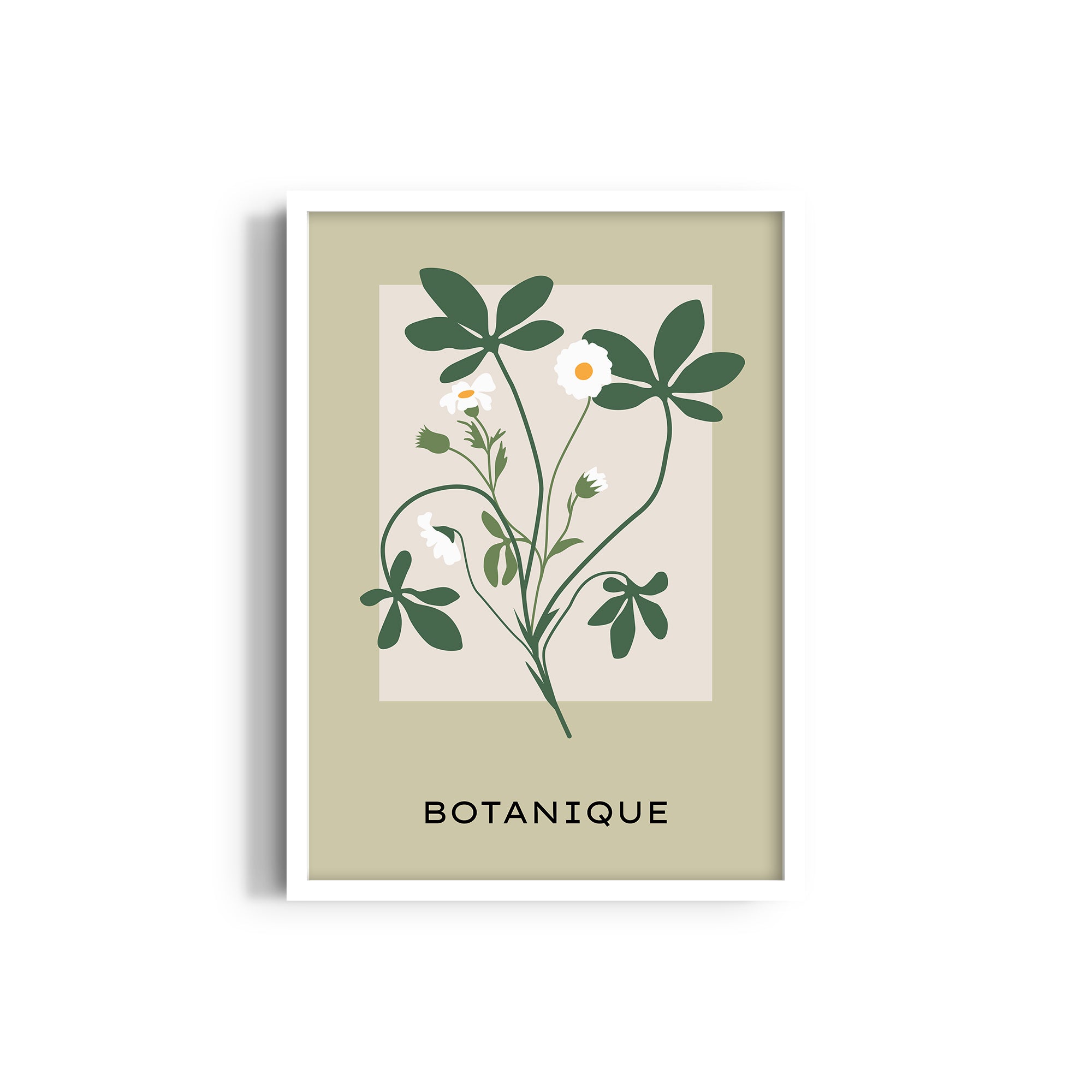Petals and Palettes Botanical Modern Wall Art