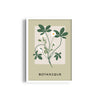 Petals and Palettes Botanical Modern Wall Art