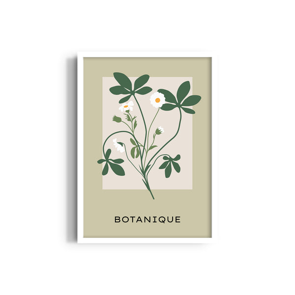 Petals and Palettes Botanical Modern Wall Art