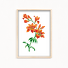 Silent Berry Botanical Wall Art