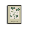 Petals and Palettes Botanical Modern Wall Art