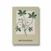 Petals and Palettes Botanical Modern Wall Art