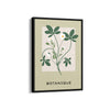 Petals and Palettes Botanical Modern Wall Art