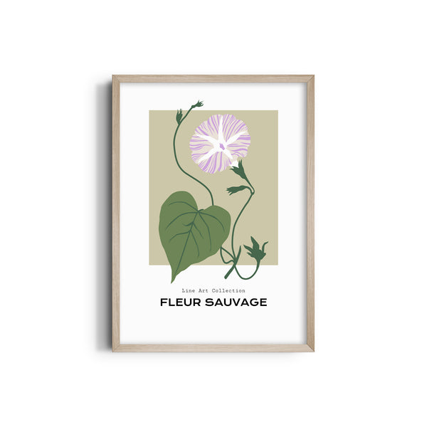 Meadow Montage Botanical Modern Wall Art