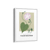 Meadow Montage Botanical Modern Wall Art