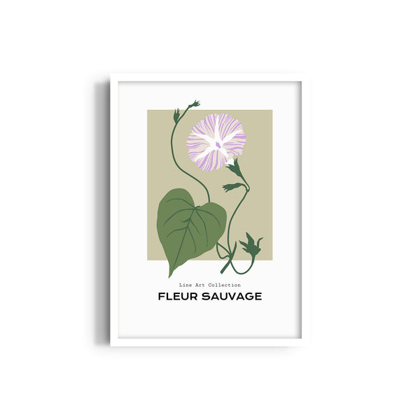 Meadow Montage Botanical Modern Wall Art