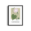Meadow Montage Botanical Modern Wall Art