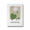 Meadow Montage Botanical Modern Wall Art